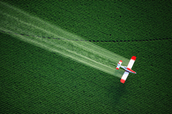 A new study is linking the pesticides chlorpyrifos and DDT and other chemicals to a rise in cases of neurodevelopmental disabilities. (Shutterstock)