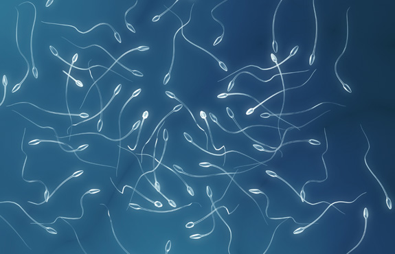 Researchers say that an increasing number of genetic mutations in men's sperm as they age could be contributing to a greater risk of autism and other disorders in children born to older fathers. (Shutterstock)